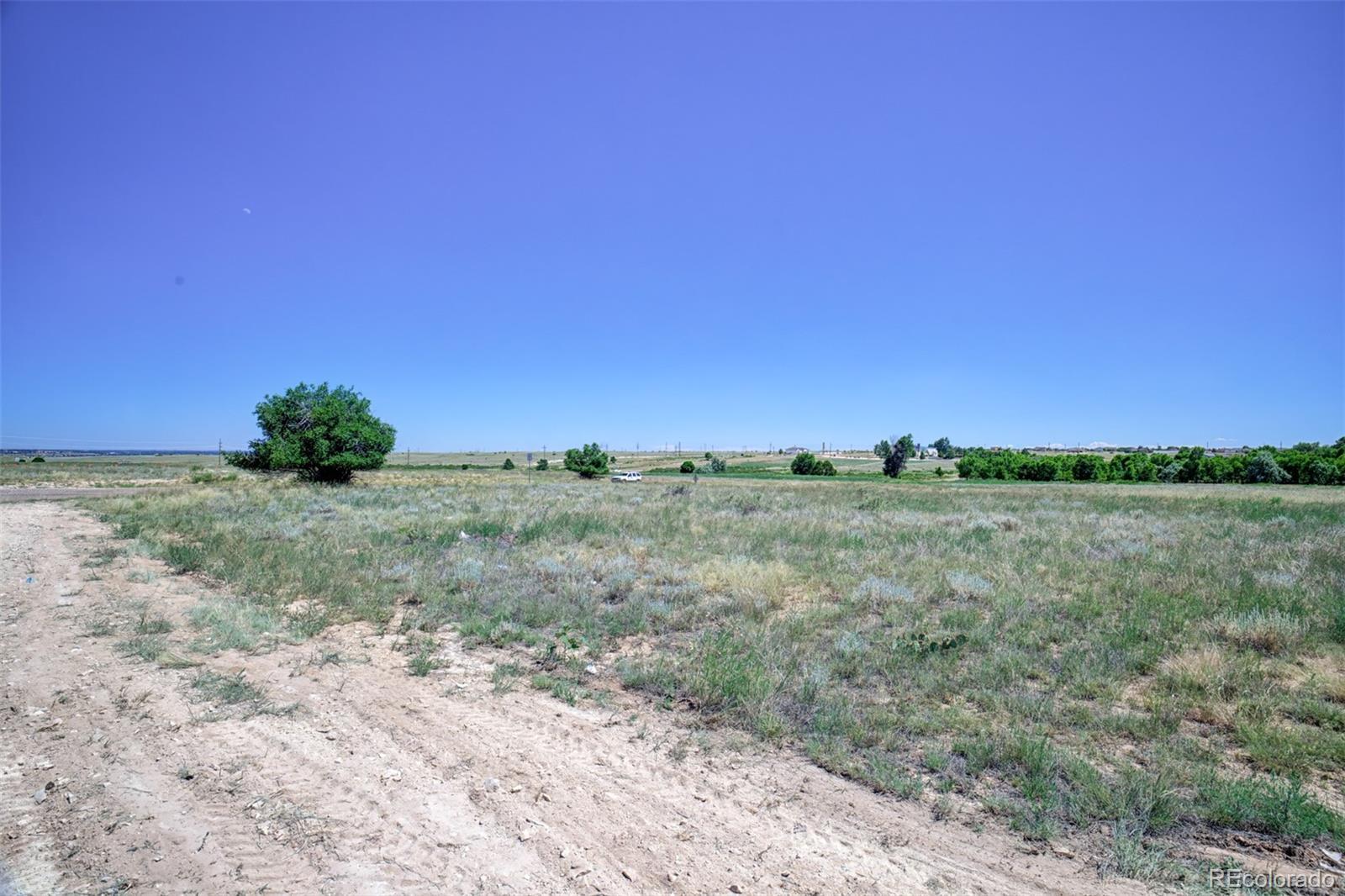 Photo of Listing #1879511