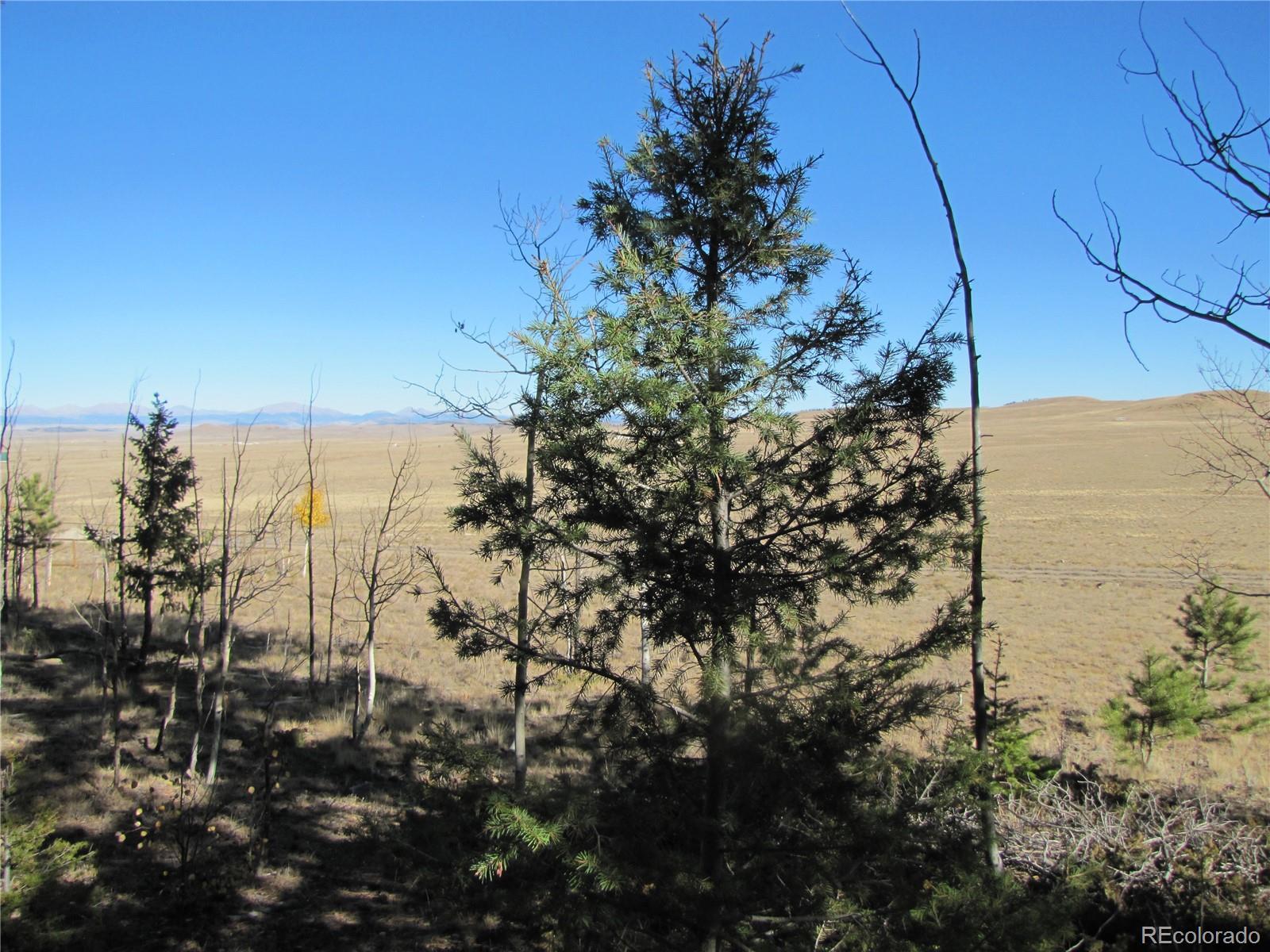 Photo of Listing #2005712