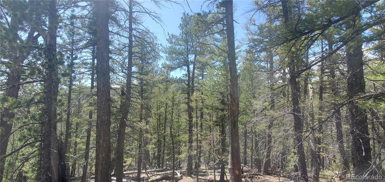 Photo of Listing #2034742