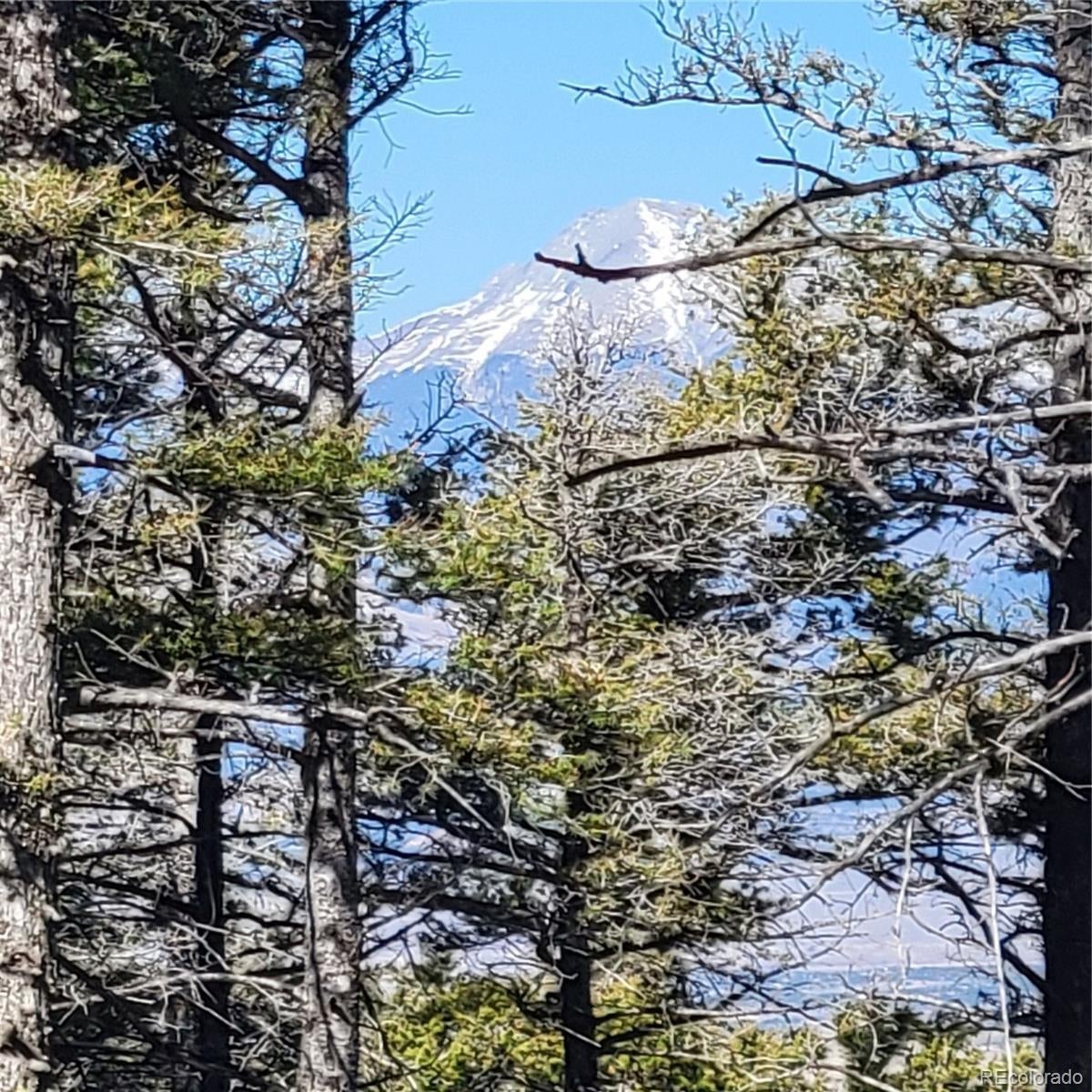 Photo of Listing #2066684