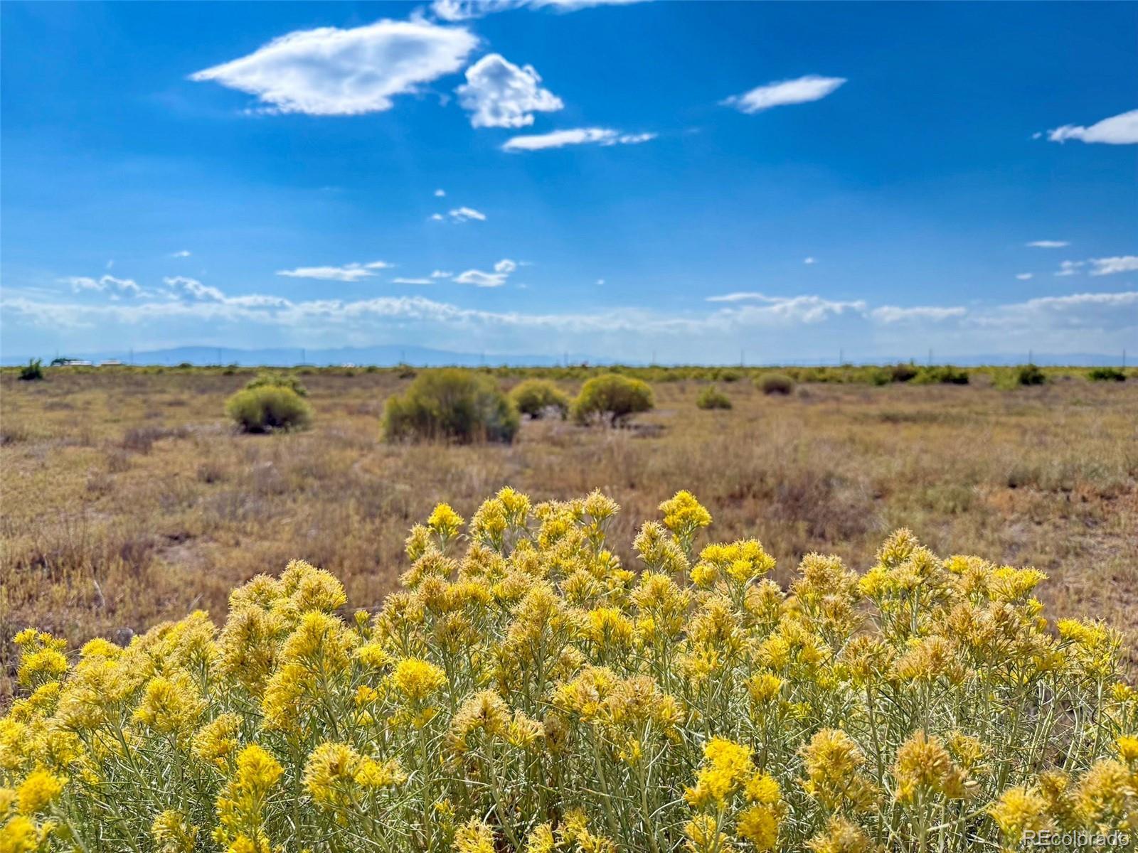 Photo of Listing #2129501