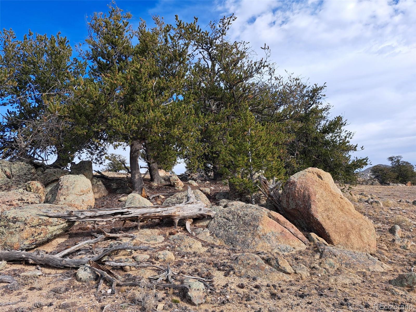 Photo of Listing #2170804