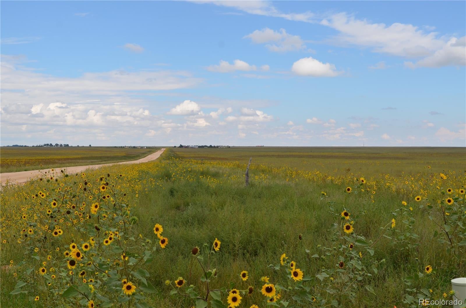 Photo of Listing #2224744