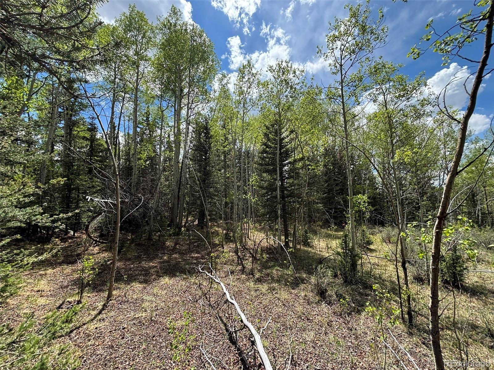 Photo of Listing #2235686