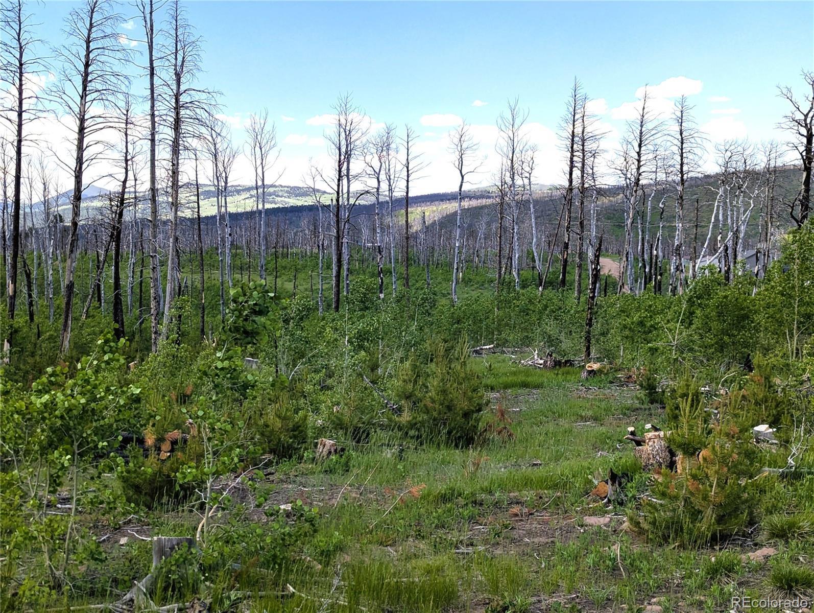 Photo of Listing #2256342