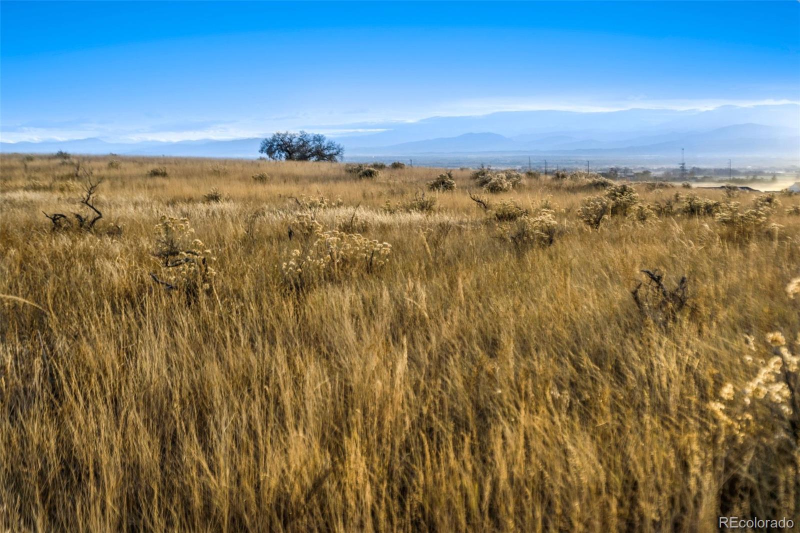 Photo of Listing #2269051