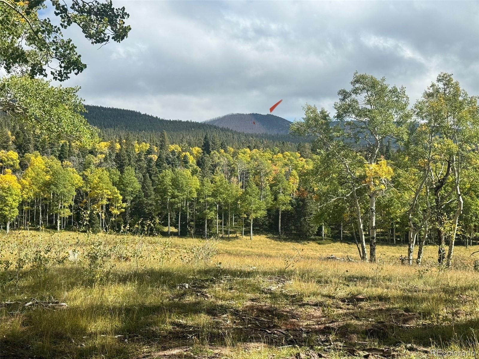 Photo of Listing #2278136