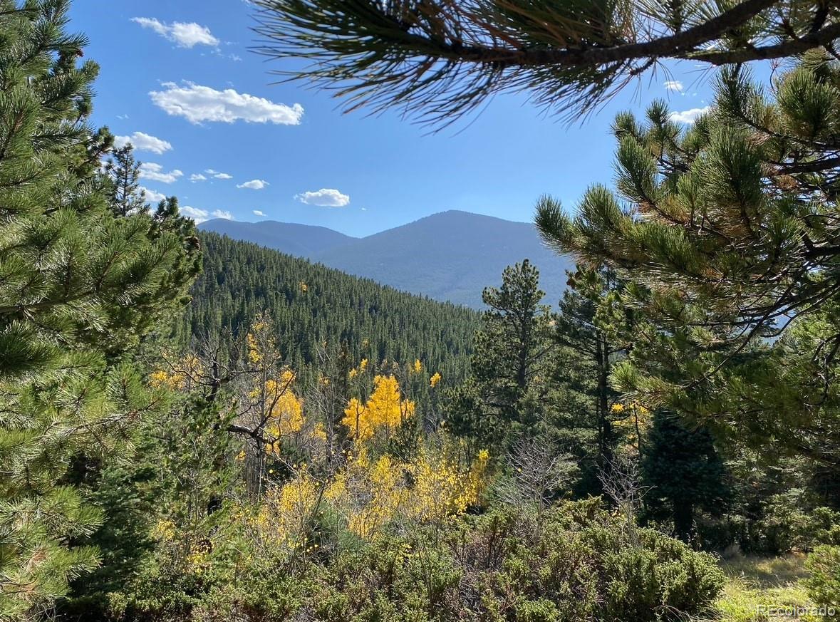 Photo of Listing #2307448