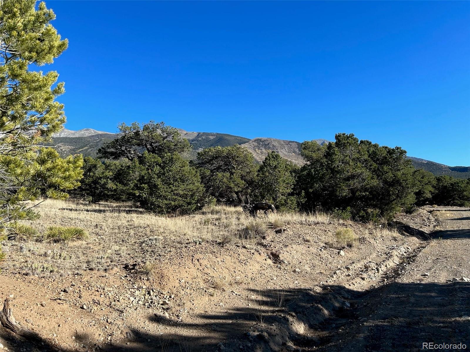 Photo of Listing #2315555