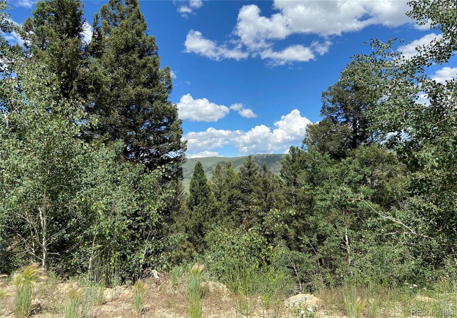 Photo of Listing #2343883