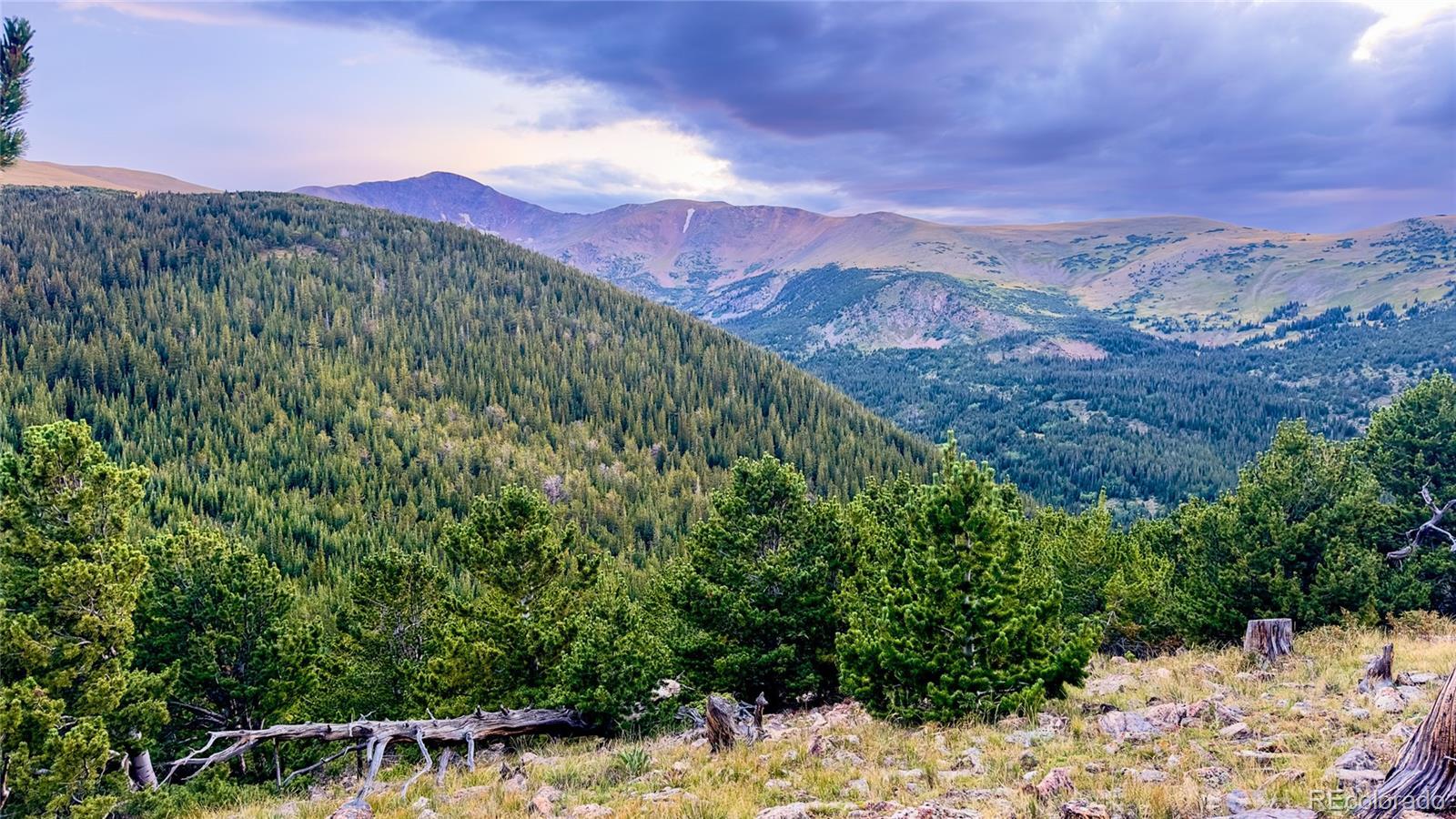 Photo of Listing #2413567