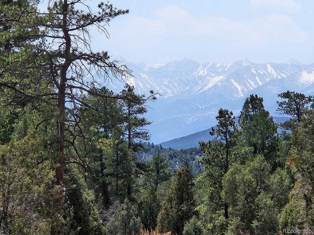 Photo of Listing #2447203