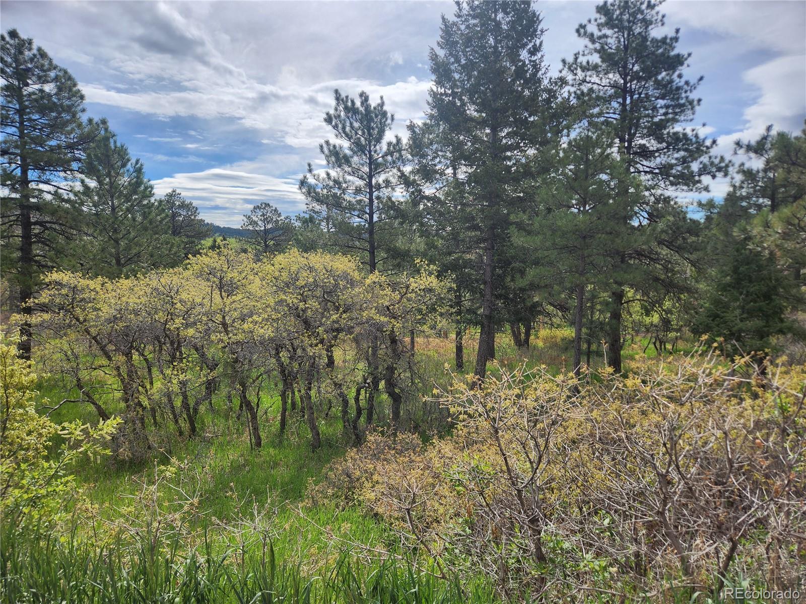 Photo of Listing #2498232