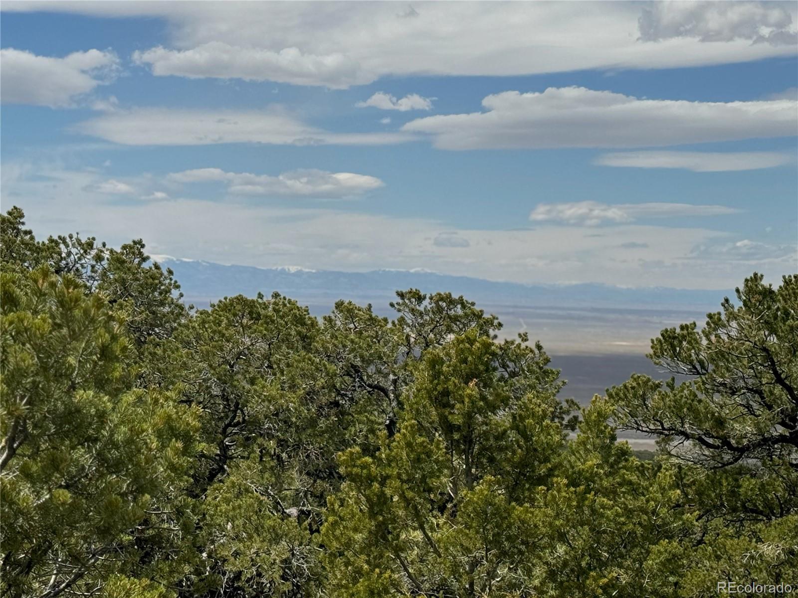 Photo of Listing #2520592