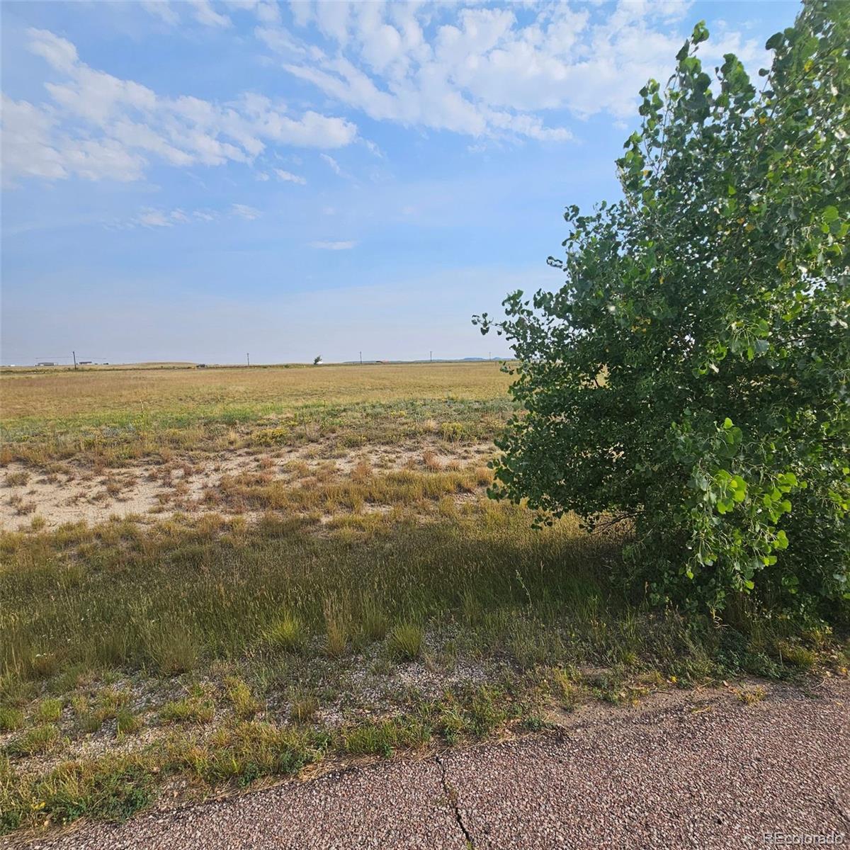 Photo of Listing #2635321