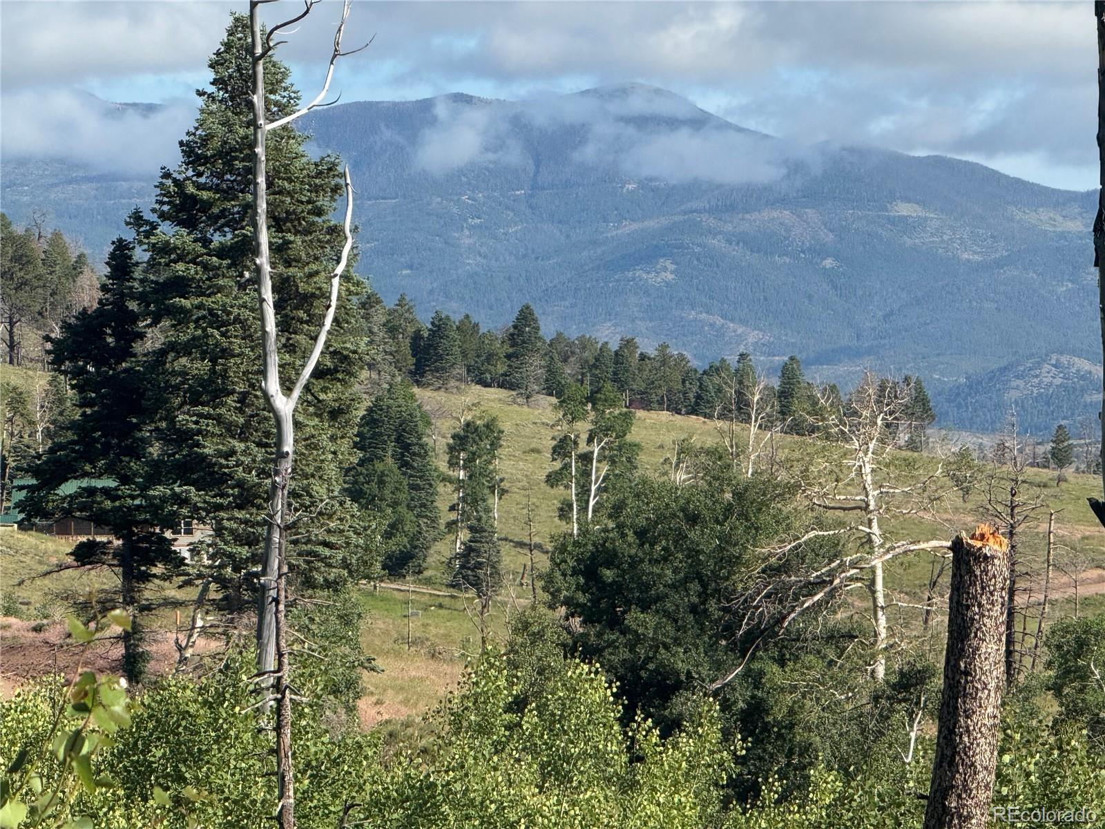 Photo of Listing #2682065