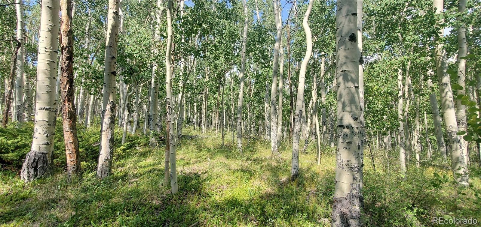 Photo of Listing #2751059