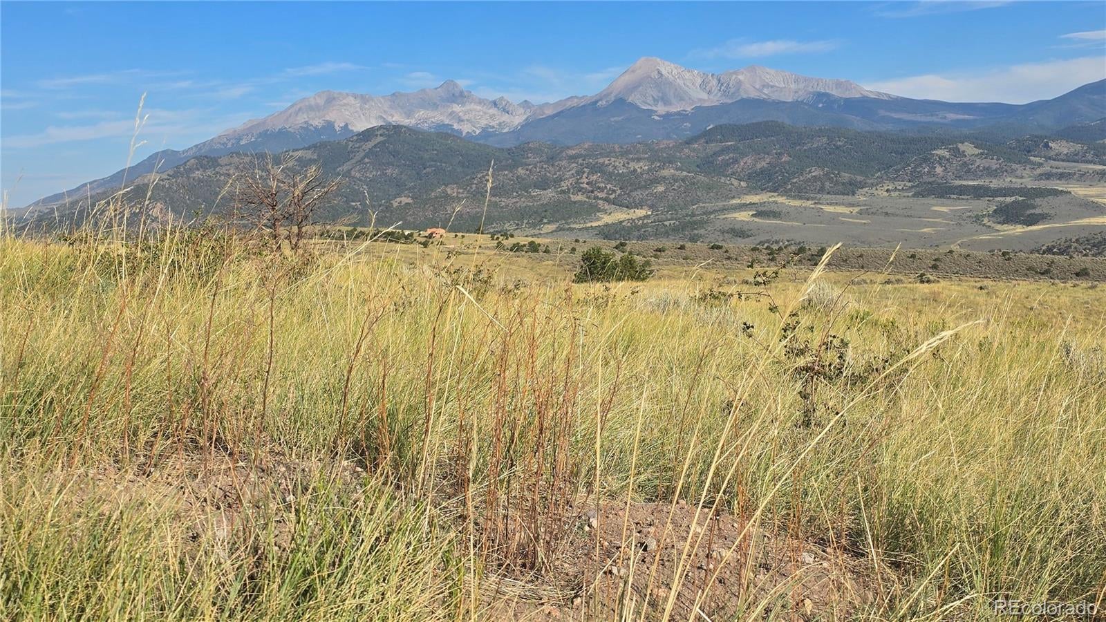 Photo of Listing #2786363