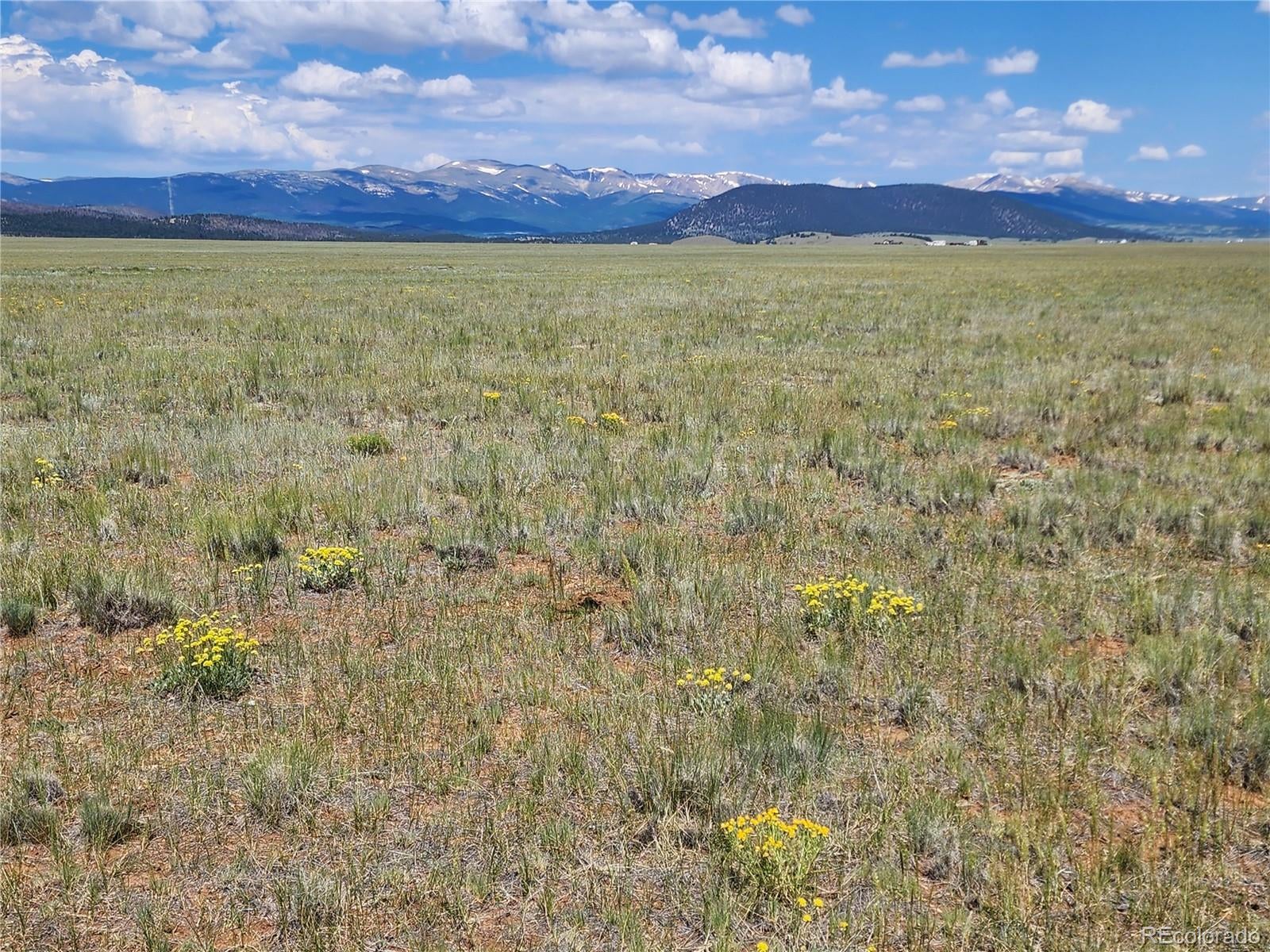 Photo of Listing #2793400