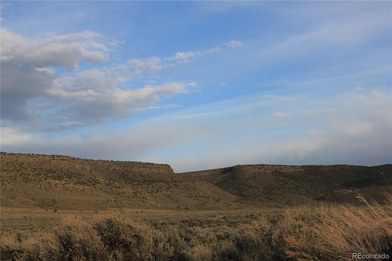 Photo of Listing #2800697