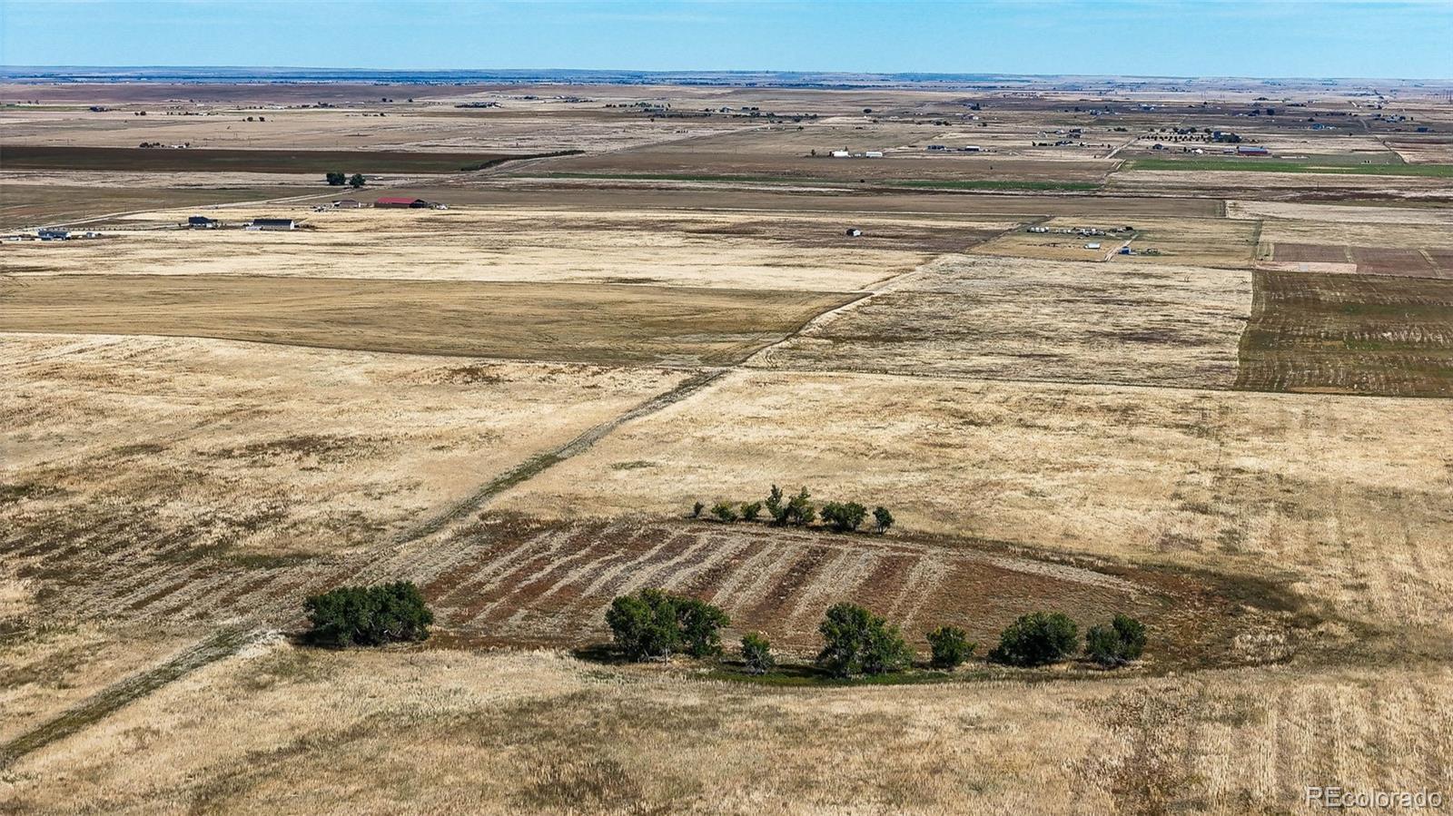 Photo of Listing #2914443