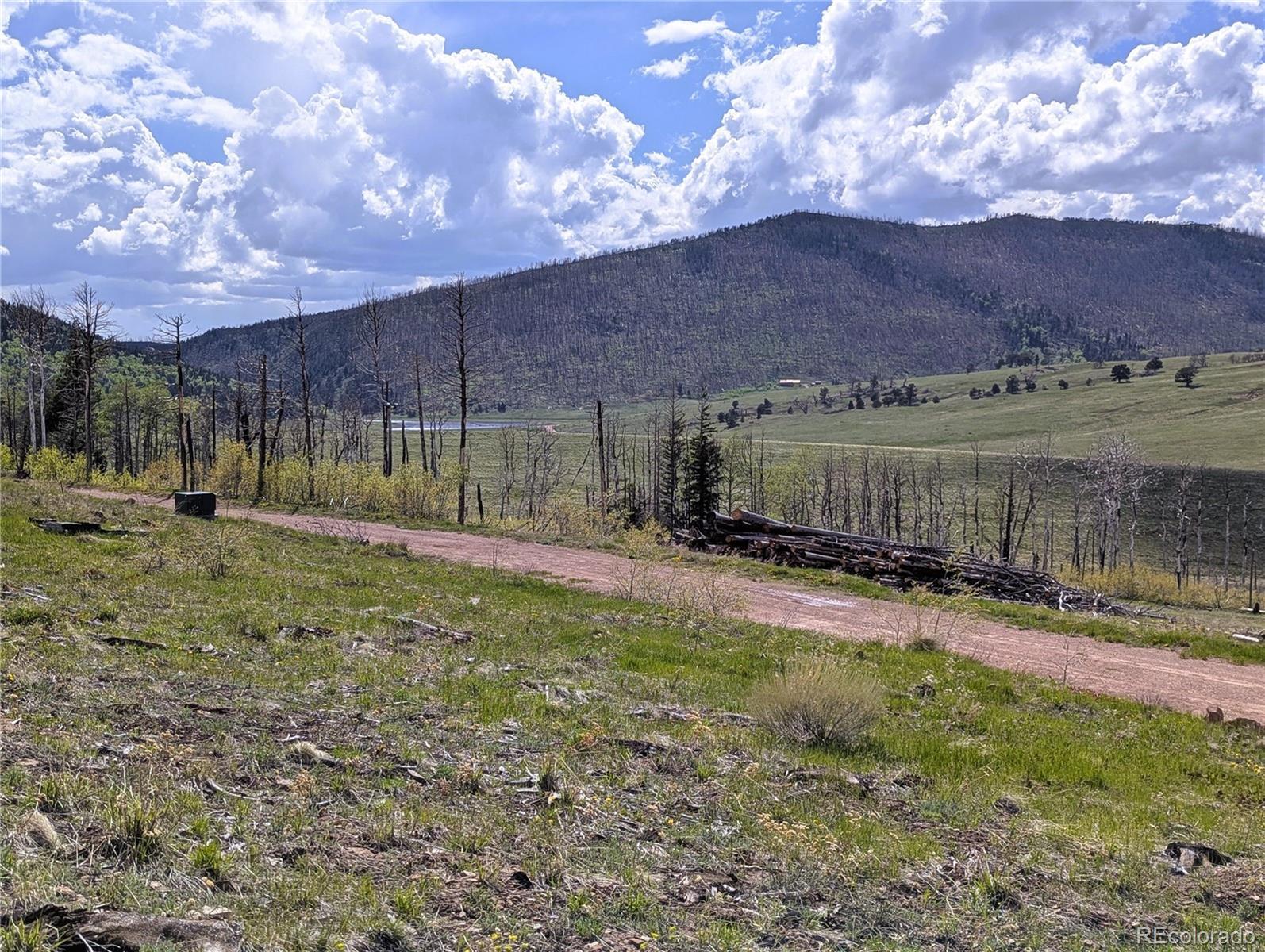 Photo of Listing #2915744