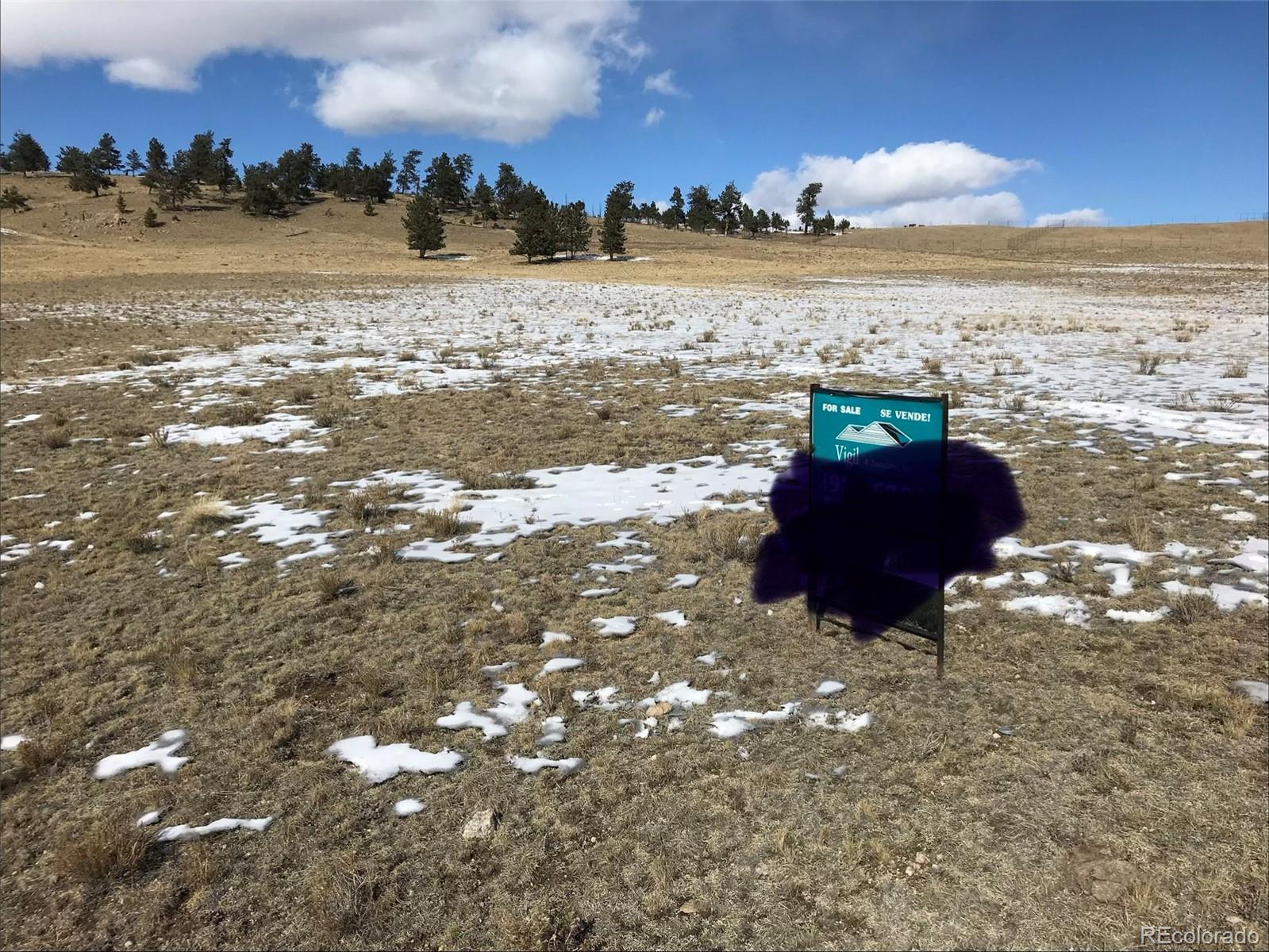 Photo of Listing #2921765