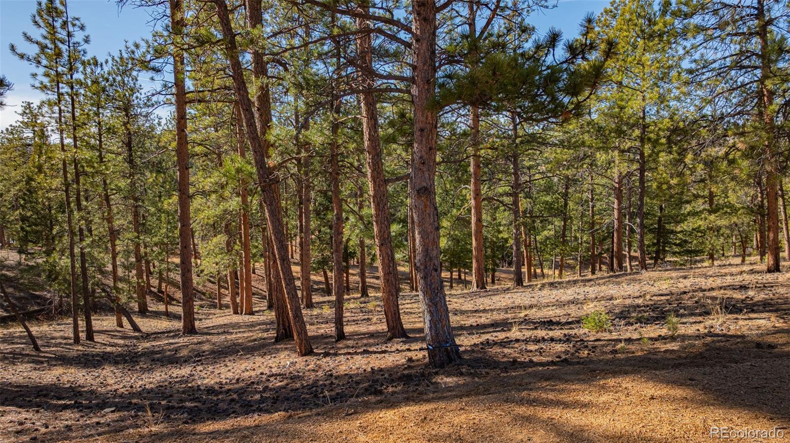 Photo of Listing #2957496