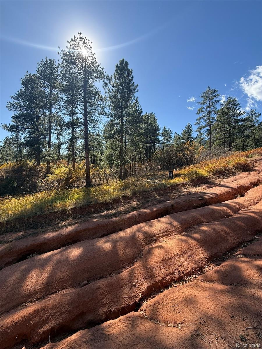 Photo of Listing #3005146