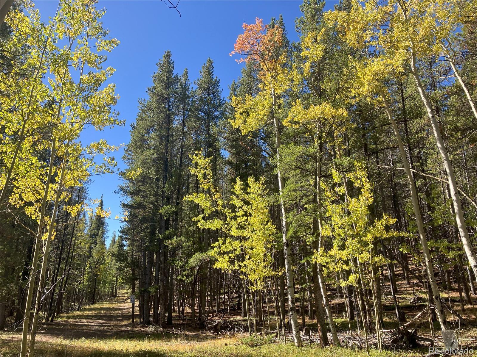 Photo of Listing #3007316