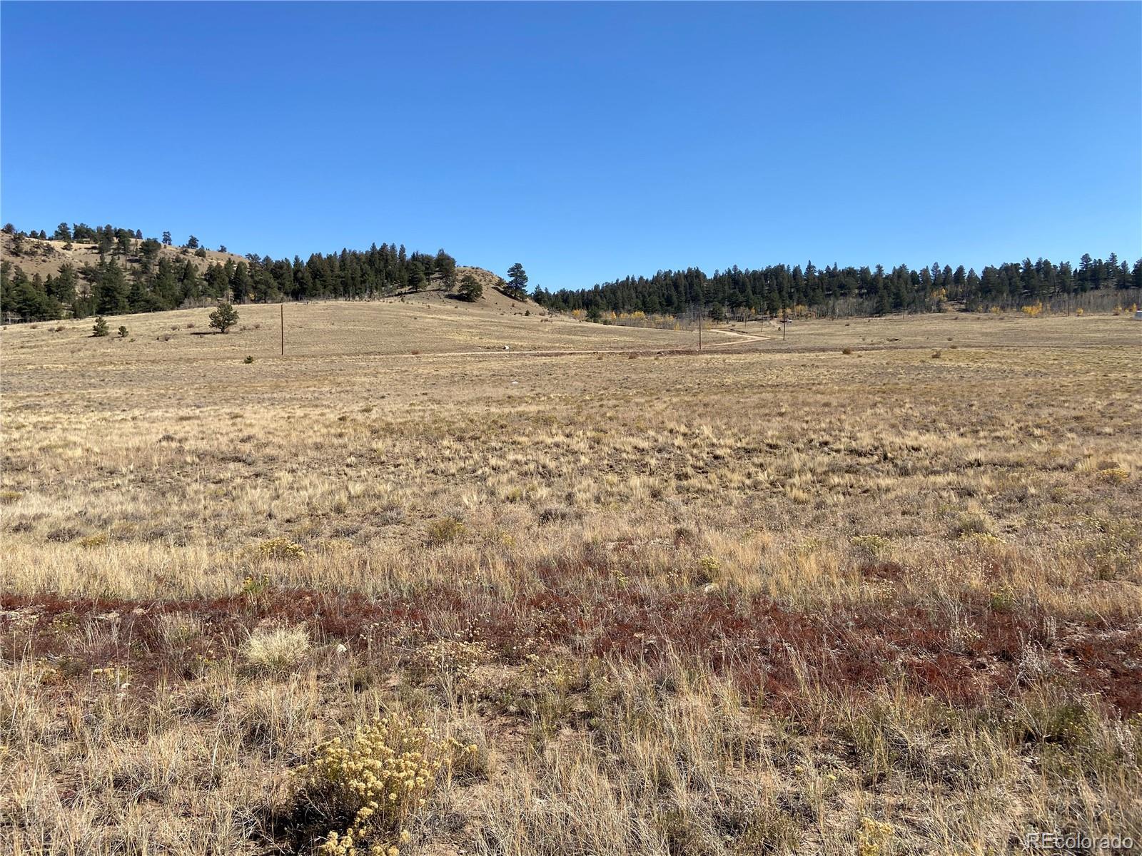 Photo of Listing #3011115