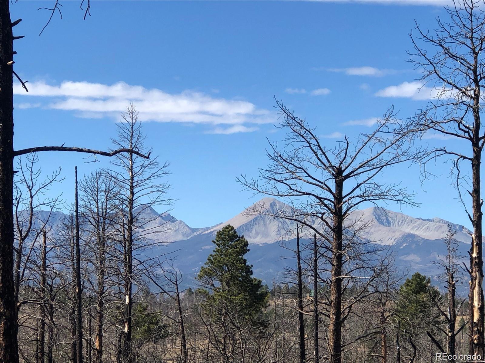 Photo of Listing #3025612