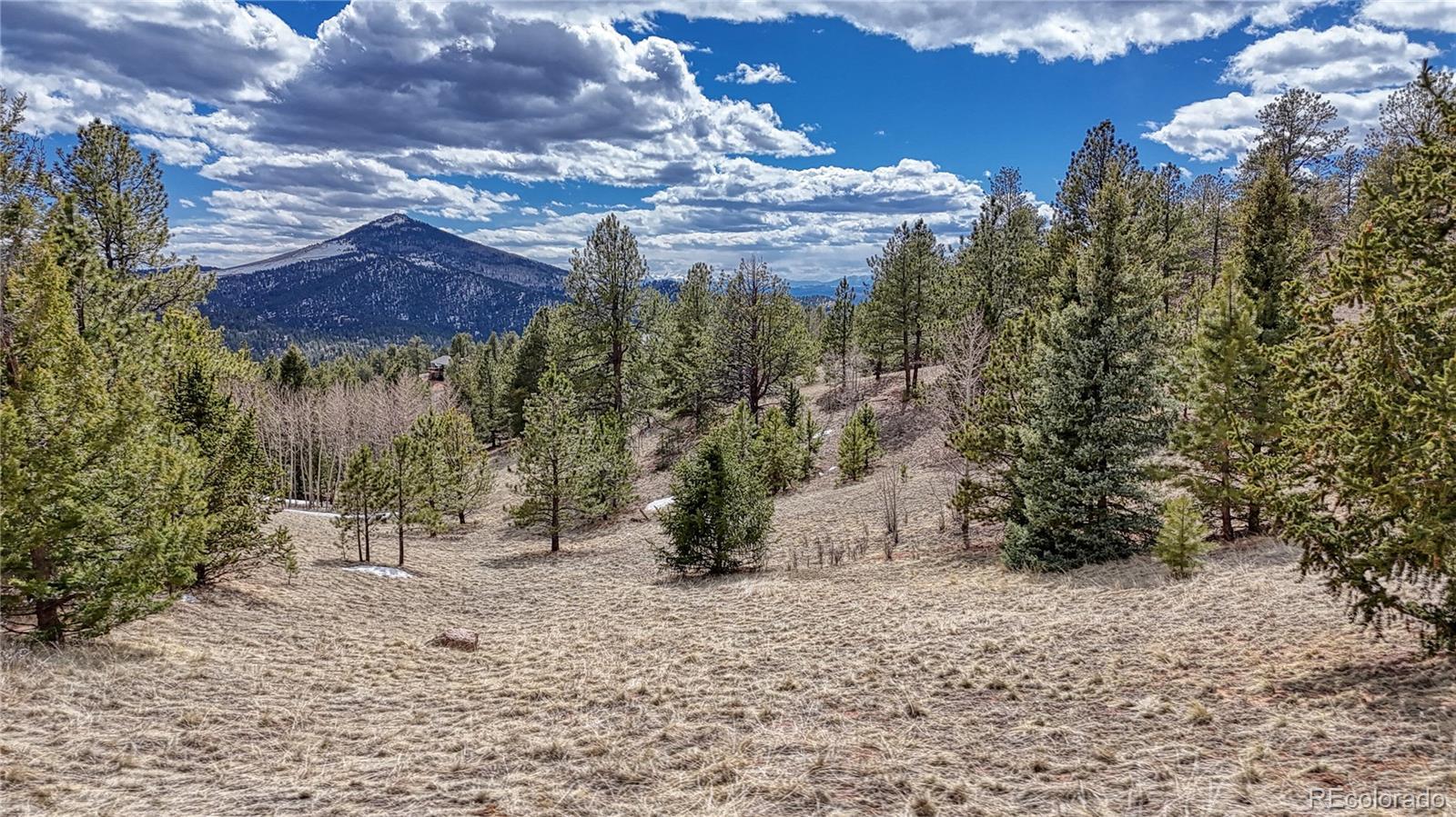 Photo of Listing #3057219