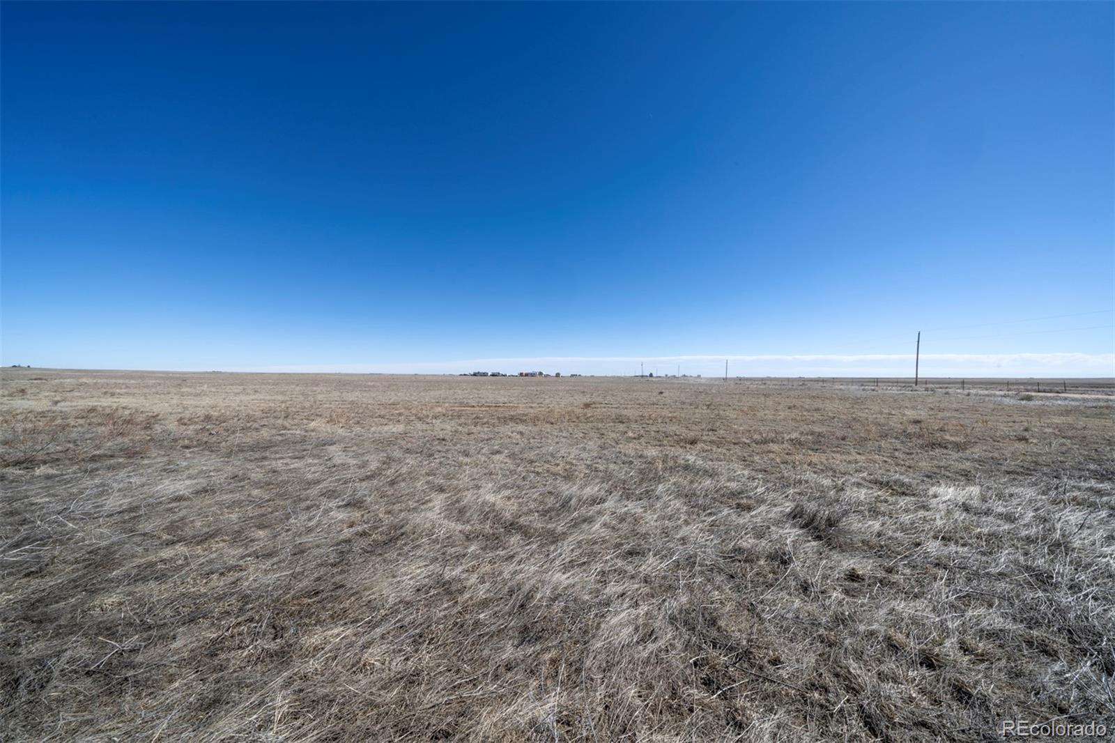 Photo of Listing #3072046