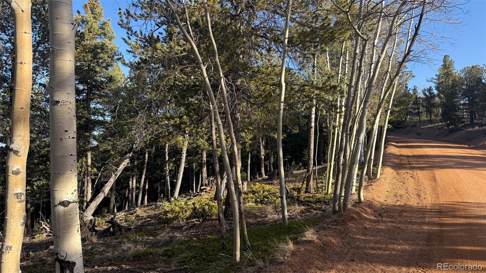 Photo of Listing #3095151