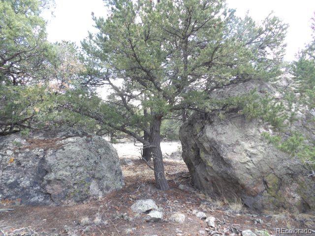 Photo of Listing #3099877