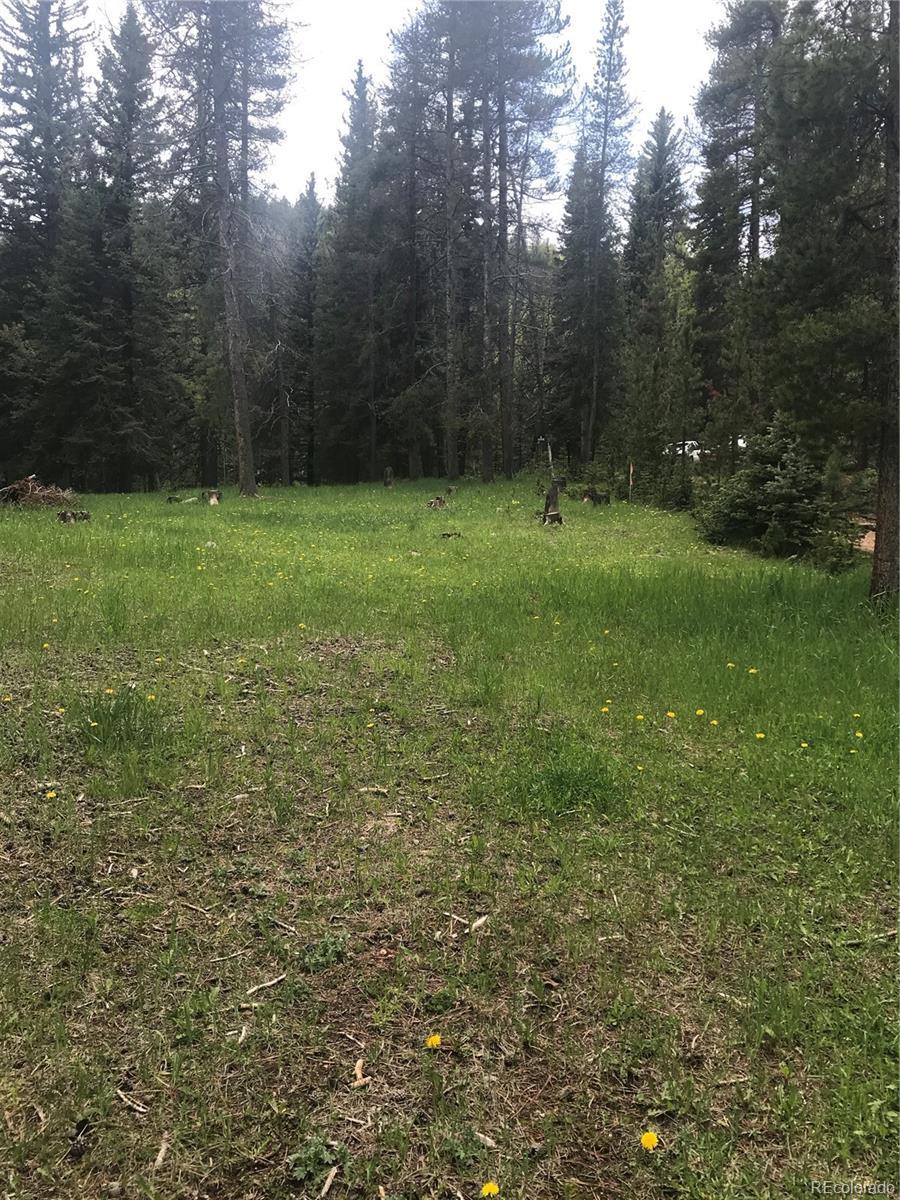 Photo of Listing #3122515