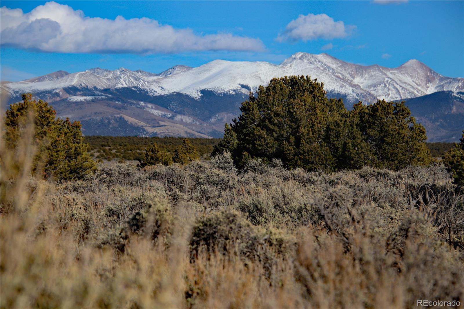 Photo of Listing #3204656