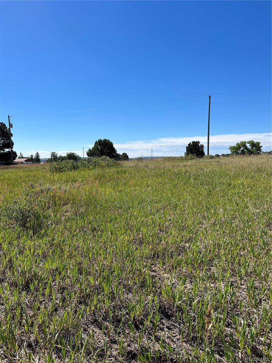 Photo of Listing #3262271
