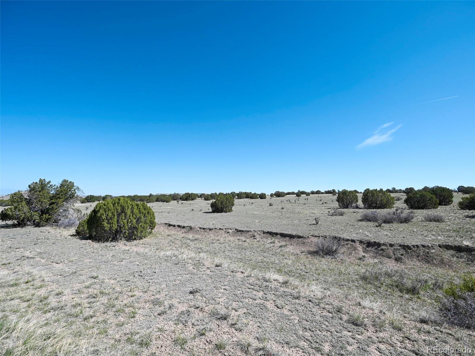 Photo of Listing #3270314