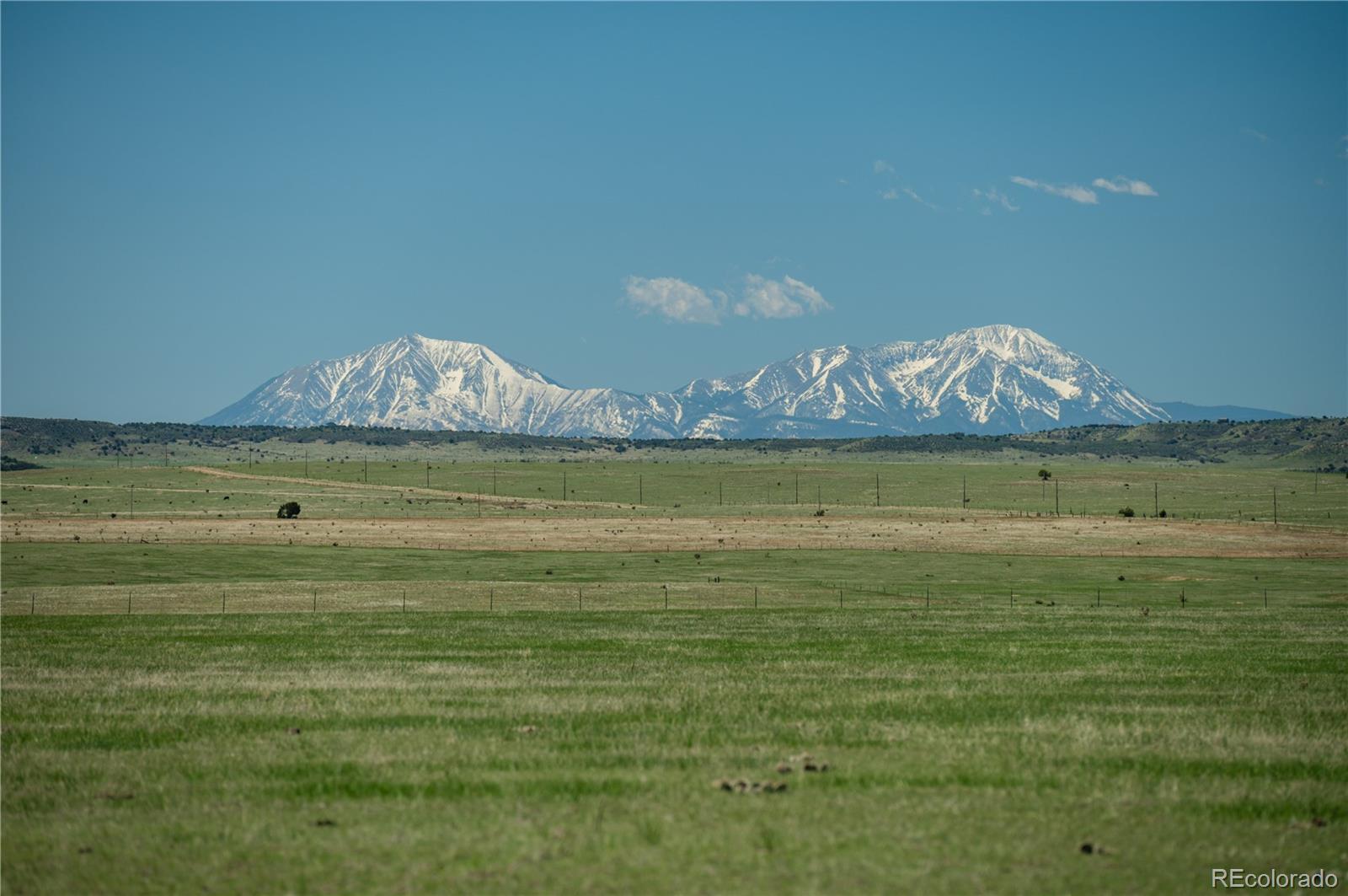 Photo of Listing #3300948