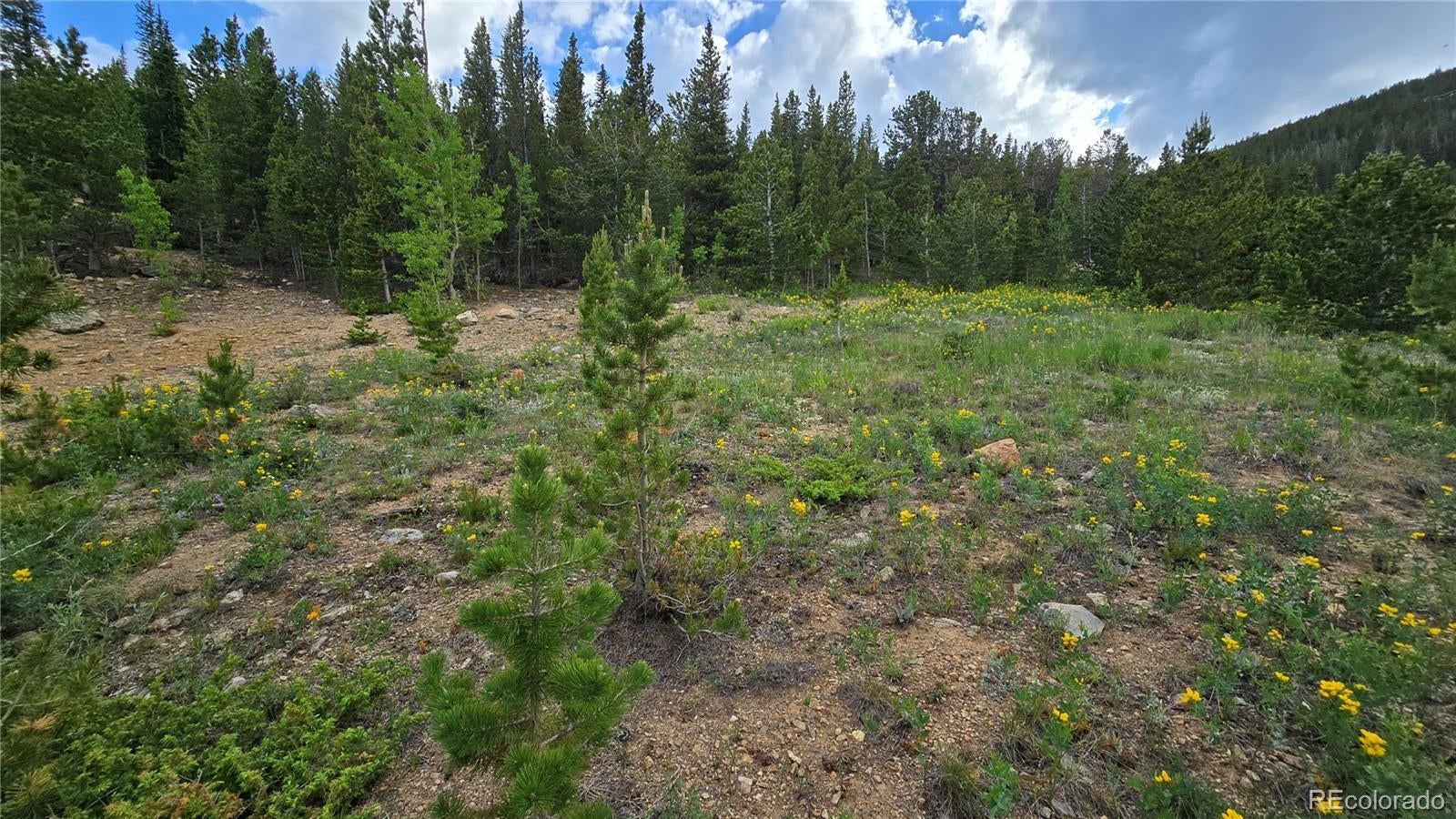 Photo of Listing #3315913