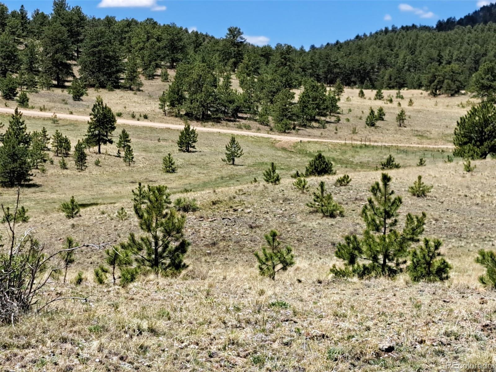 Photo of Listing #3333652