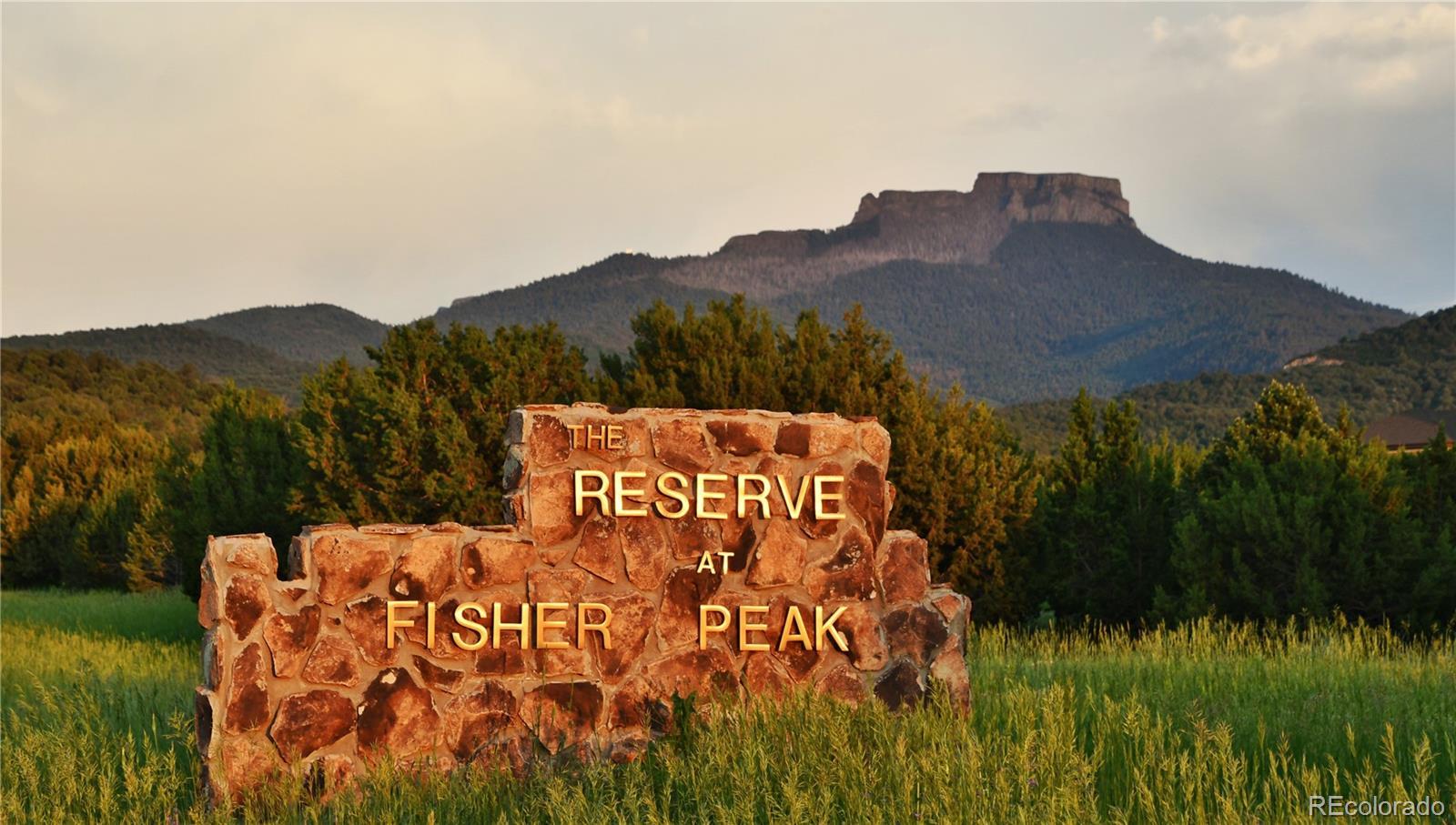 Photo of Listing #3345864