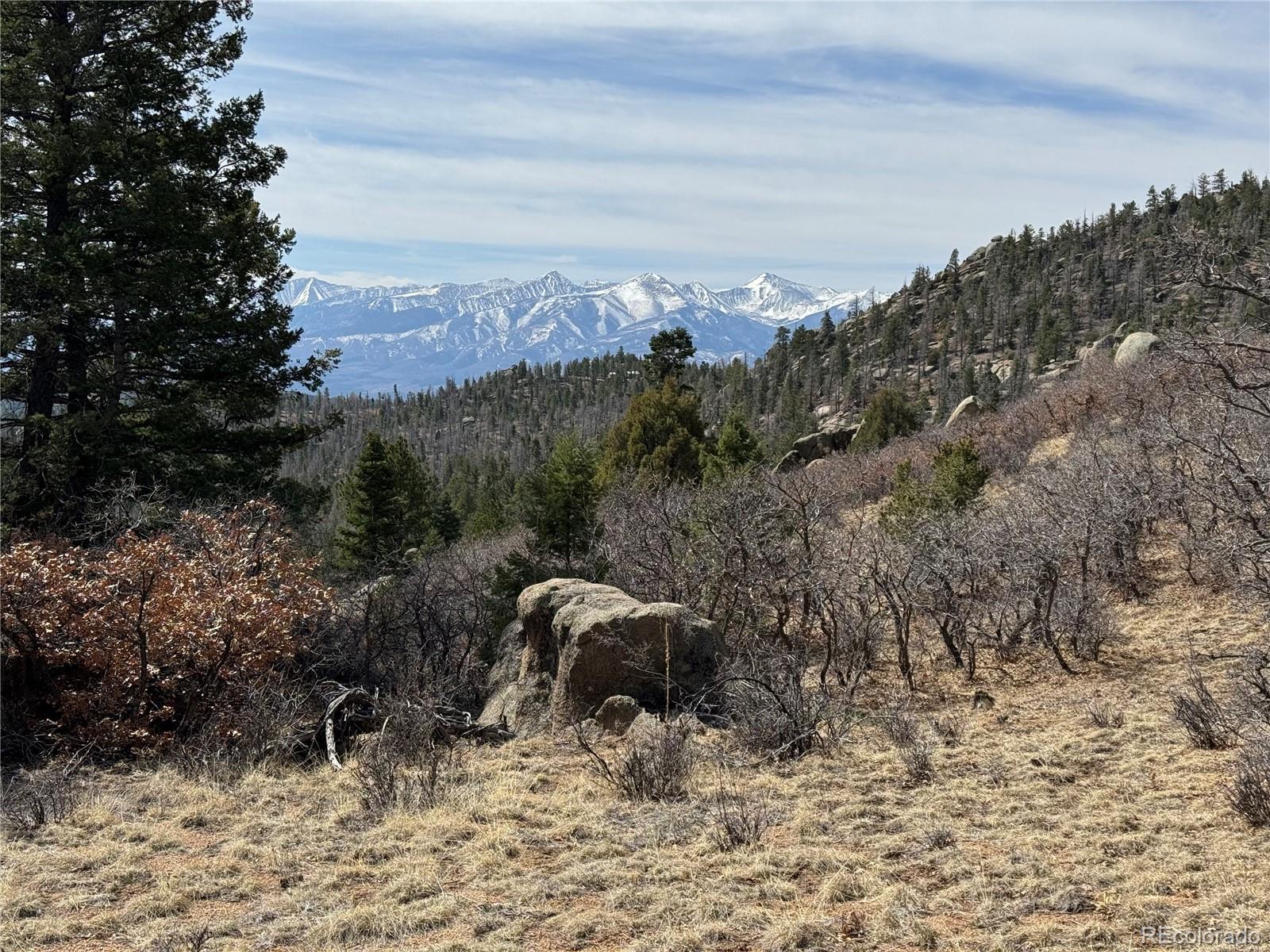 Photo of Listing #3358120