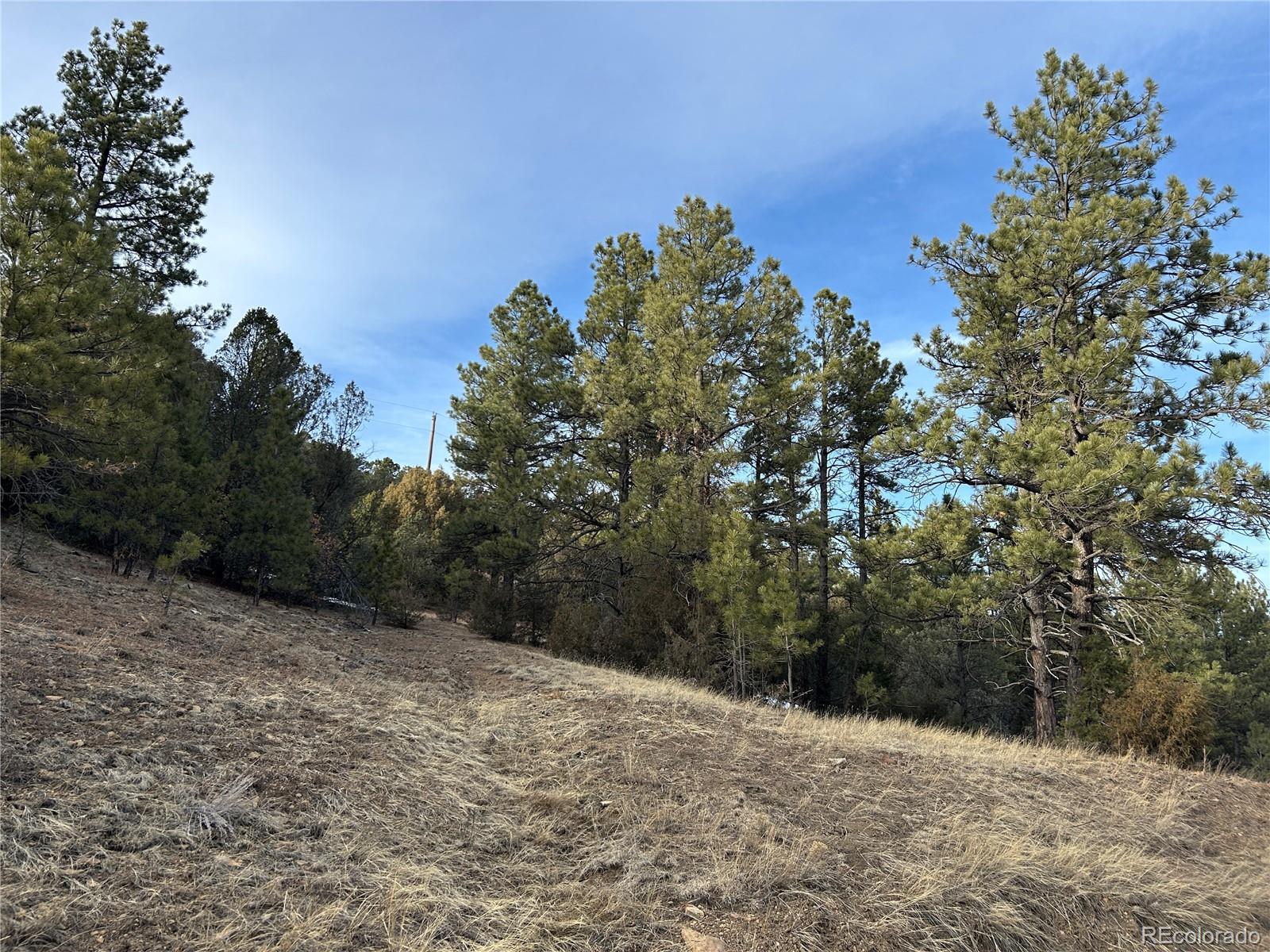 Photo of Listing #3408525