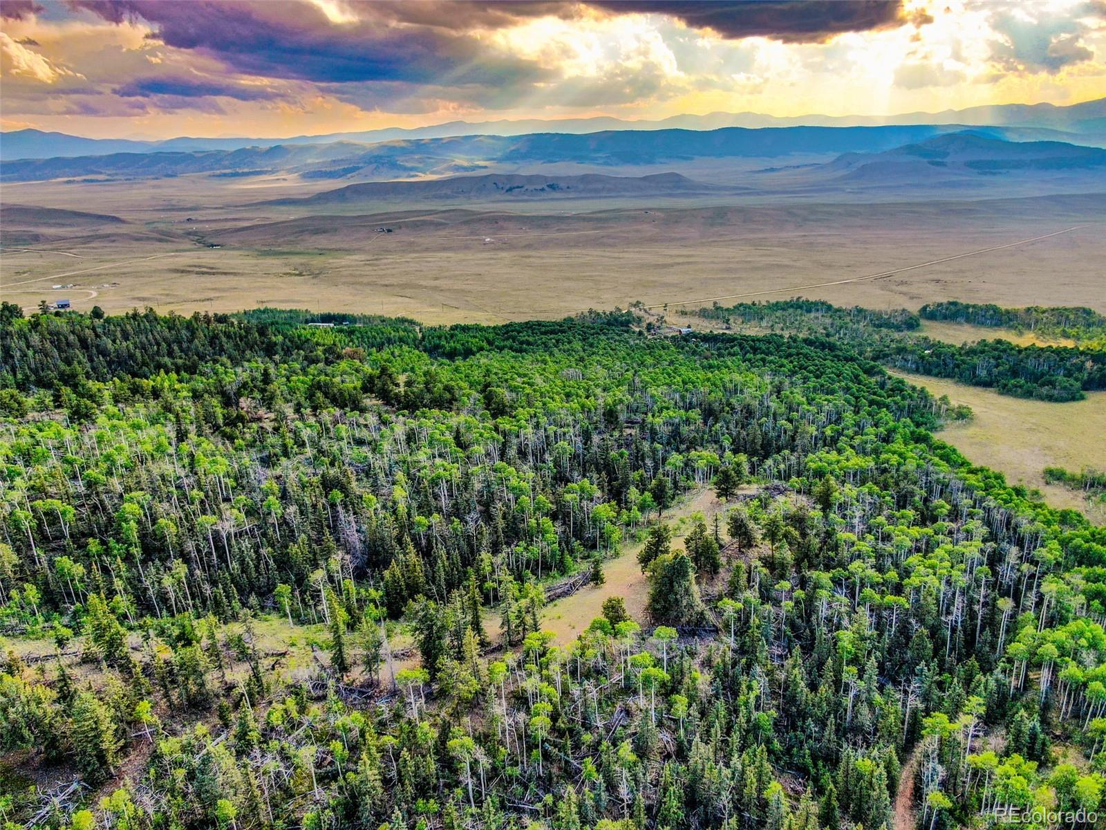 Photo of Listing #3464786