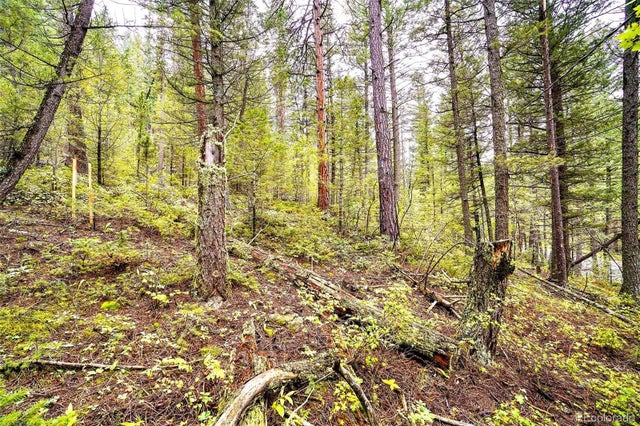 10862-10872 Twin Spruce Road, Golden