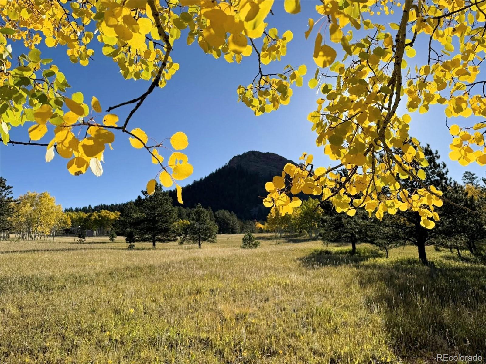 Photo of Listing #3497194