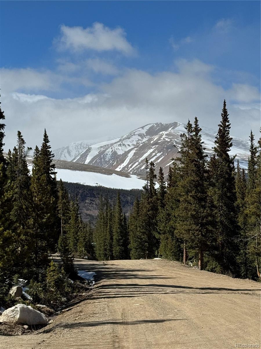 Photo of Listing #3565305